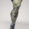 Nike Torso