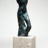 Torso